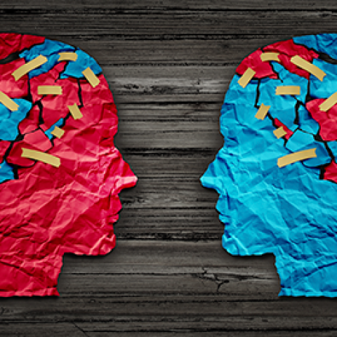 Political polarization and tribalism on the verge of a two-party system