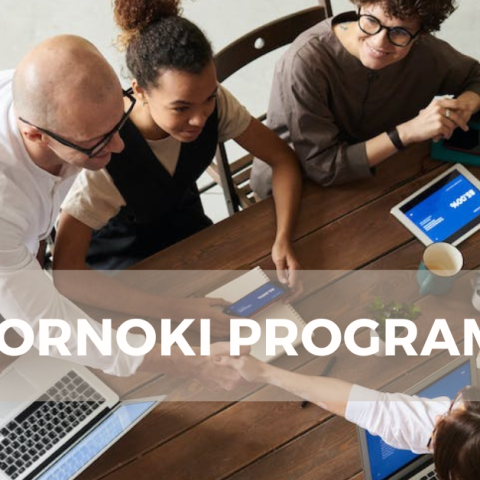 Gyakornoki program 2025