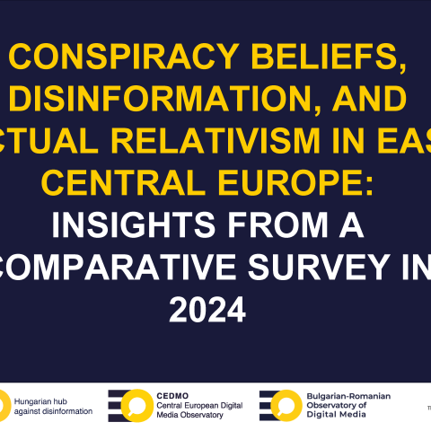 Disinformation and Conspiracy Beliefs in East-Central Europe HDMO-CEDMO-BROD Survey