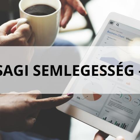„Gazdasági semlegesség” – It’s politics, stupid 