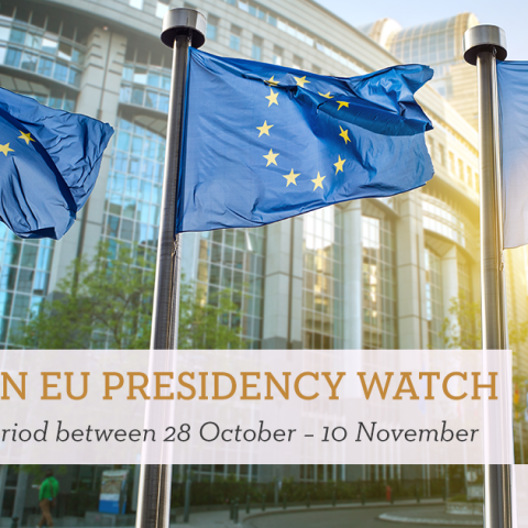A Volatile Unity: Hungary’s Leadership Amid Geopolitical Shifts and EU Challenges – Hungarian EU Presidency Watch