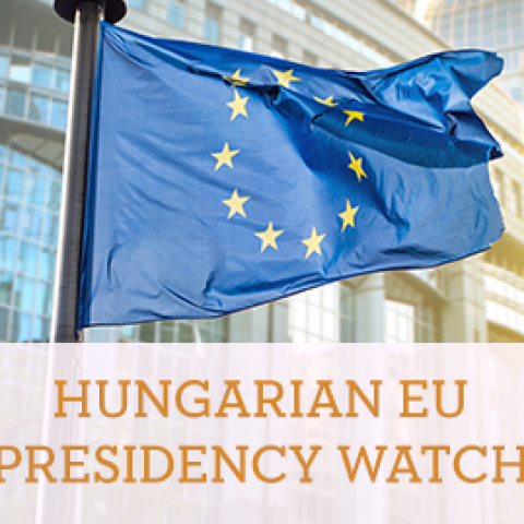 Hungarian EU Presidency Watch