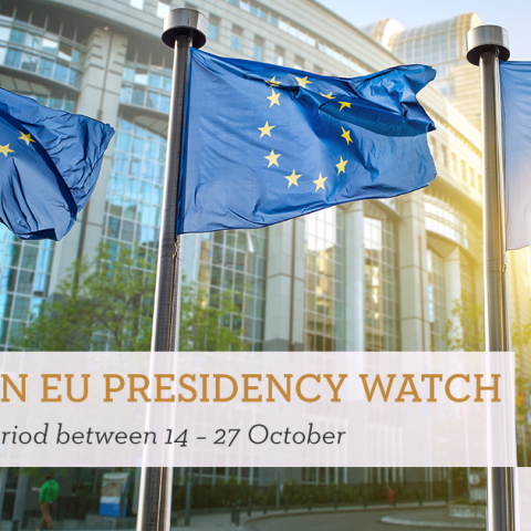 Gearing up for the big show amid a "peace mission" 2.0 and new levels of anti-EU rhetoric – Hungarian EU Presidency Watch