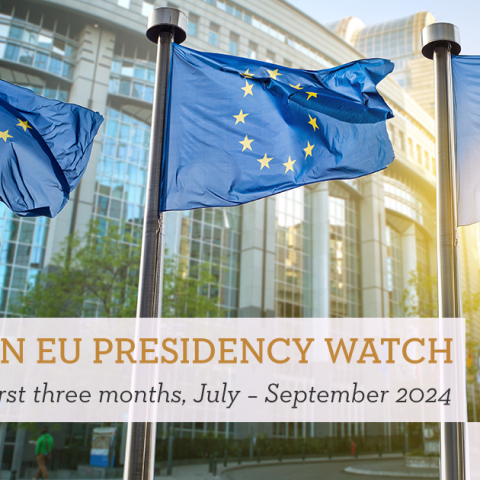 Prioritizing politics over policy? - Hungarian EU Presidency Watch