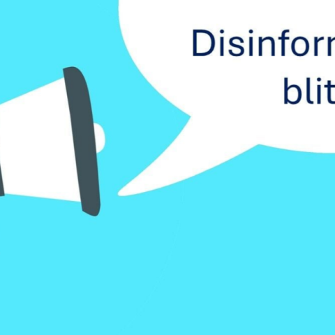 Disinformation blitz during the Hungarian EP election campaign
