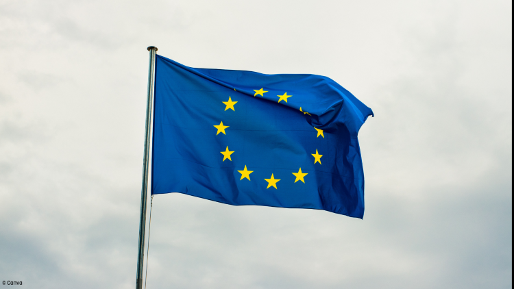 The Evolving Interests of the Visegrad Four in the Next European Union Mandate