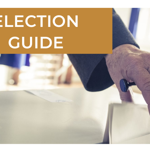 A guide to the European and local elections in Hungary