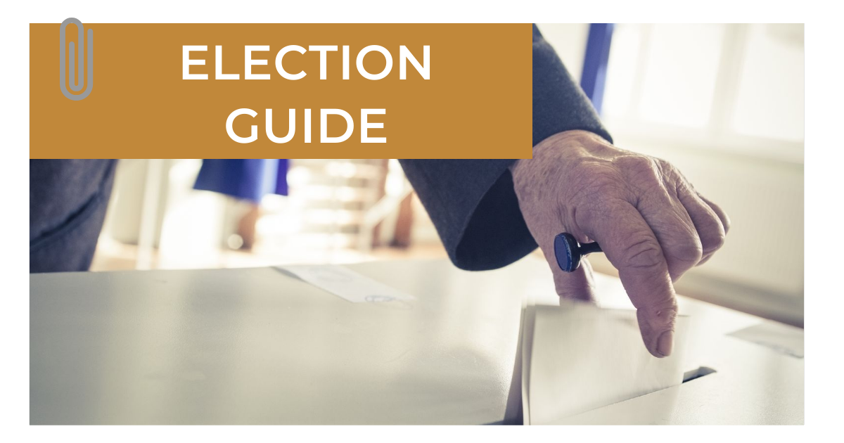 A guide to the European and local elections in Hungary