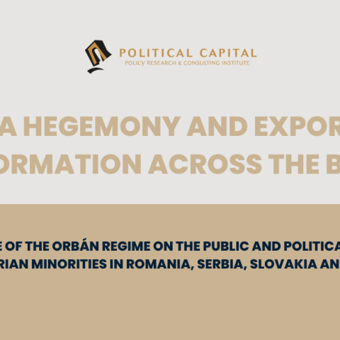 Media hegemony and exporting disinformation across the border 