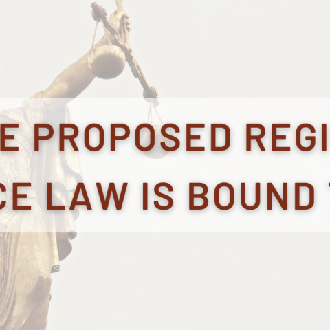 The Proposed Regime Defence Law is Bound to Fail