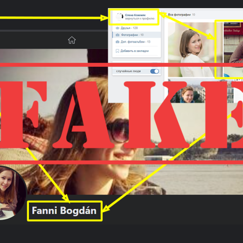 Hidden Agendas: Fake Profiles on Facebook ahead of Hungary's Upcoming Elections