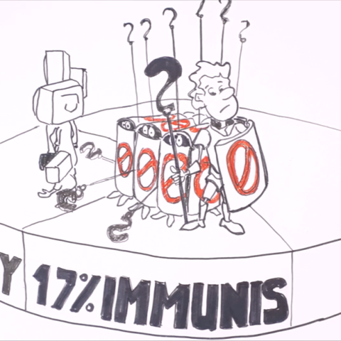 Fogékonyság vs. immunitás – Dezinformációk és összeesküvés-elméletek Magyarországon