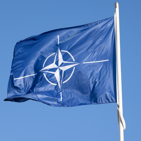 Egyedül és elfelejtve – Magyarország a vilniusi NATO-csúcson