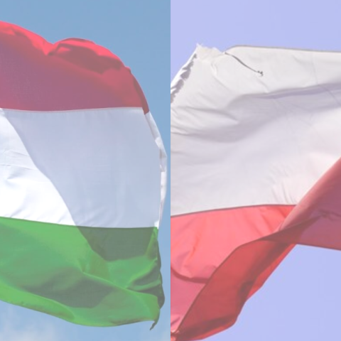 Lengyel-magyar két jó barát: az EU-ellenes fekete doboz újratöltve