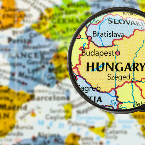 Hungarian Elections: Mobilisation at Home and Abroad