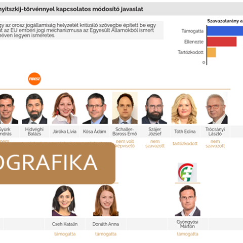 Infografika a magyar EP-kéviselők egyes szavazásairól