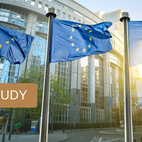 The Specter of Authoritarian Regimes is Haunting Europe - STUDY