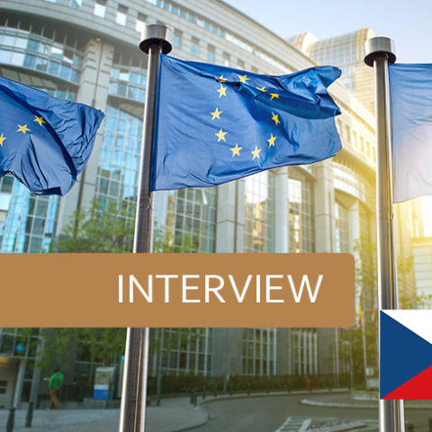Authoritarian influence in the EU and how to deal with them: the MEP’ perspectives.