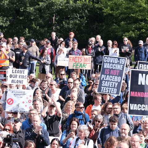 2020: the year of the anti-vax revolution in Hungary