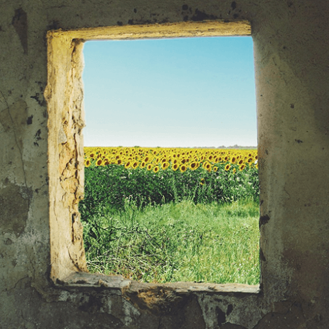 Russian Revisionism in Ukraine: Overview and Recommendations