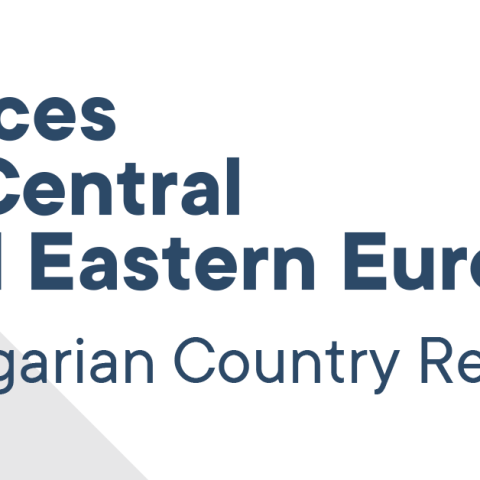 Voices of Central and Eastern Europe - Hungarian Country Report