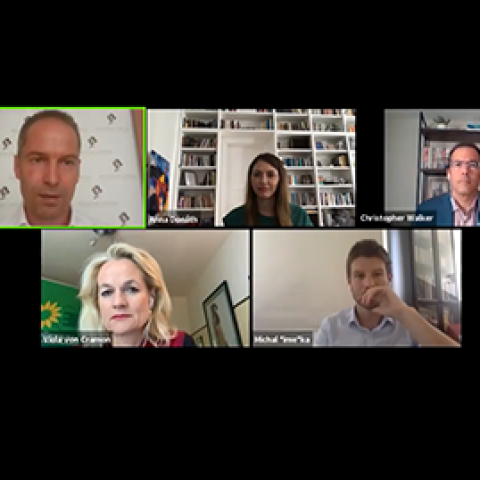Online discussion with MEPs