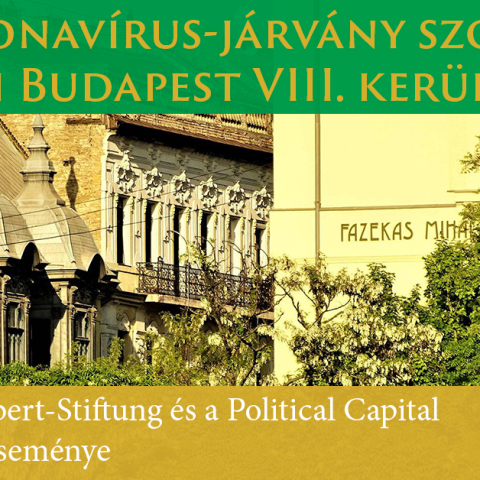 A koronavírus-járvány szociális hatásai Budapest VIII. kerületében