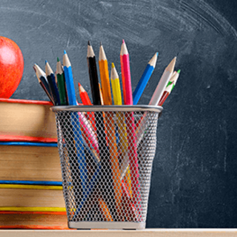 Combating fake news in the education system