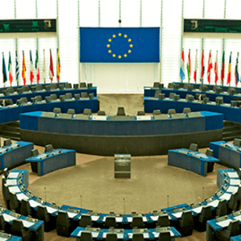Decisions on electoral interference EP: bad and good news for Russia