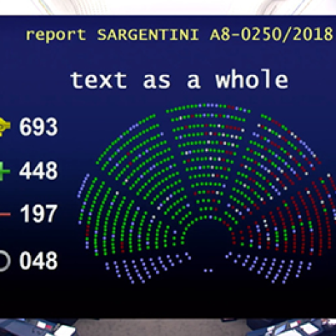 The approval of the Sargentini report: the beginning of the end for Orbán in the European People’s Party? - Flash Report