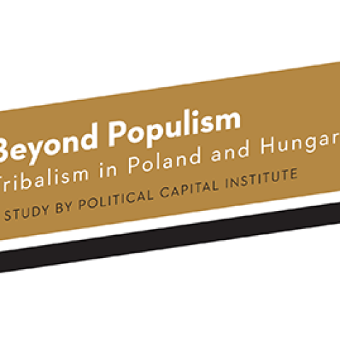 Beyond populism – tribalism in Poland and Hungary