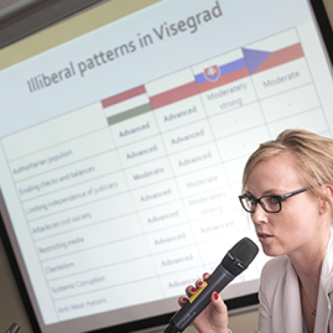 Illiberalism in the V4: Pressure points and bright spots