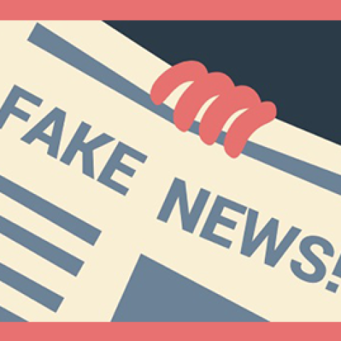 The political effects of migration-related fake news, disinformation and conspiracy theories - conference
